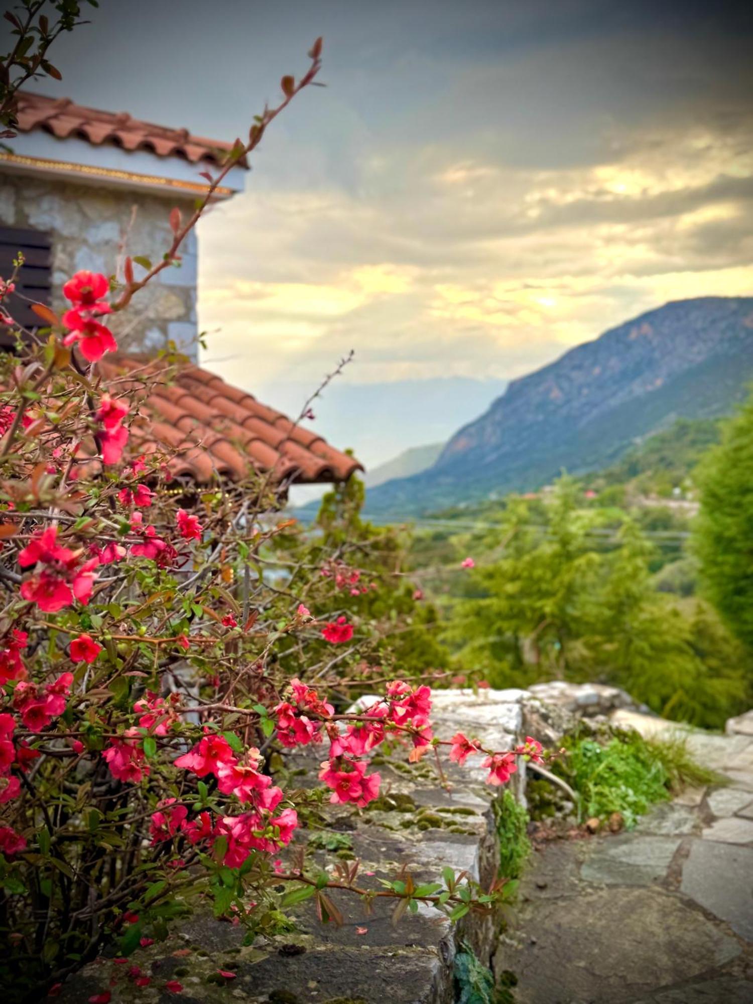 Rock Dandy Deluxe Chalet In Arachova - Delphi, Sauna, Prv Parking, Amazing View Eksteriør bilde